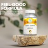 Natural Balance Happy Camper - Feel-Good Mood Support Supplement -