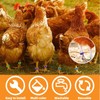 WJccsee Versatile Poultry ID Bands, 100 Pack, 16mm, Multi-Color &