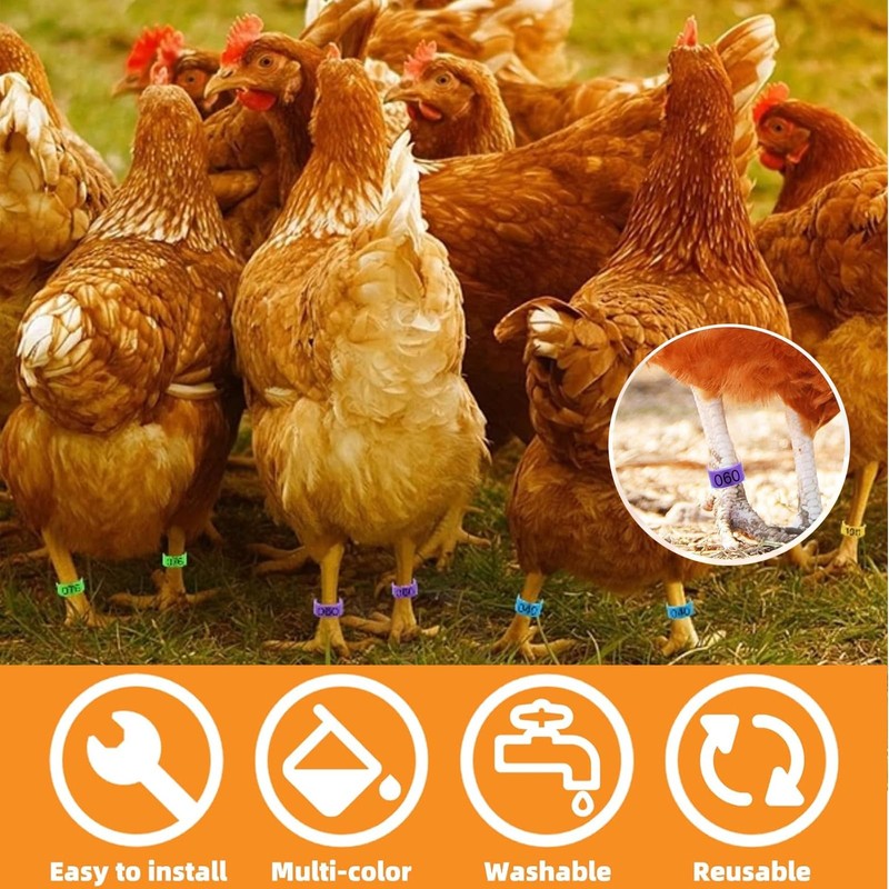 WJccsee Versatile Poultry ID Bands, 100 Pack, 16mm, Multi-Color &