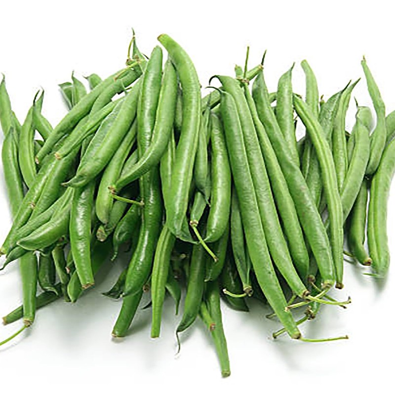 Haricot Vert Stringless Green Bean Seeds