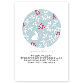KS-49 Cold Weather Postcard, Pack of 5, Stylish Postcard