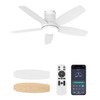 BWGZH Ceiling Fans with Lights and Remote Control，42 Inch Flush