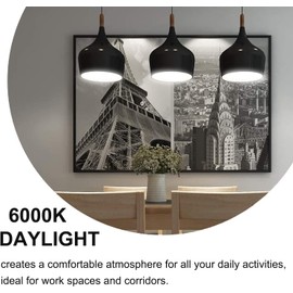 Furoching A19 Rechargeable Emergency LED Bulb, 9W 60W Equivalent Battery Backup Emergency Light with Switch Hook, E26 6000K for Home Power Outage Outdoor Activity Camping Hurricane,9-Pack