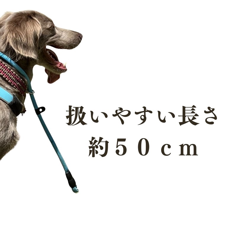 WonderPawz Slip Leash for Large Dogs, Chalk Leash, Pull Prevention