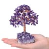 Jovivi Natural Amethyst Healing Crystal Money Tree on Amethyst Cluster