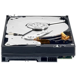 Western Digital 320 GB RE3 SATA 7200 RPM 16 MB Cache Bulk/OEM Enterprise Hard Drive WD3202ABYS