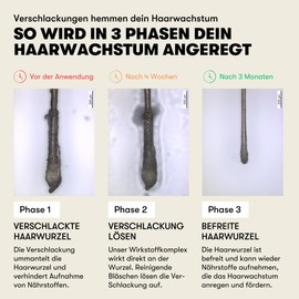 O.C. HAIRCARE Wake Up Hair Growth Shampoo - Stimulate Hair Growth & Reduce Hair Loss | Mild Sulphate Free Shampoo with Panthenol & Aloe Vera | Dissolves Residues at the Root & Nourishes the Scalp