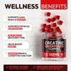 Sugar Free Creatine Monohydrate Gummies 5g Per Serving - 120