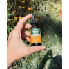 Herb Pharm Fast-Absorbing Echinacea Tincture for Immune Support