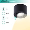 Oktaplex Lile Surface-Mounted Spotlights Black with LED Module 4.8 W