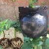 7Queen Large Root Growing Box - Reusable Plant Rooting Device,