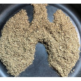 Mullein Leaf Tea, Herb for Respiratory Support, Mucous Membranes, Lung Cleanse and Detox| Dried Leaves Blend, Cut and Sifted| Made in USA (4 OZ)