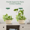 3 Pcs Metal Garden Trellis Climbing Plants Support Indoor Iron