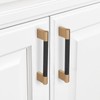 BUKOBYHE 10 Pack 3.75Inch Black and Champagne Bronze Kitchen Cabinet