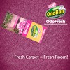 OdoBan OdoFresh Carpet and Room Deodorizer Powder for Home Smells