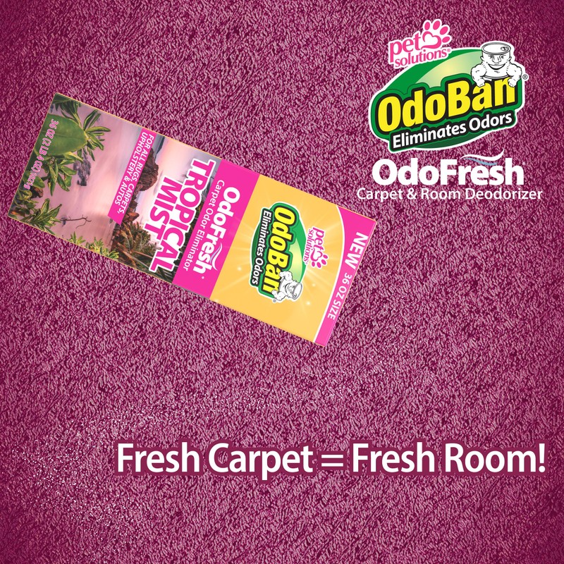 OdoBan OdoFresh Carpet and Room Deodorizer Powder for Home Smells