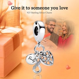 Rimgoris 925 Sterling Silver Charm for Women Bracelets Necklace Mothers Day Heart Ruby Stars and Moon Mother Daughter Portrait Friendship Mom Infinity Love of Life Family Engraved Charm, Silver, Cubic