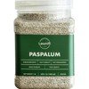 Lawnifi Brand Seashore Paspalum Grass Seeds for Lawn, 1 lb