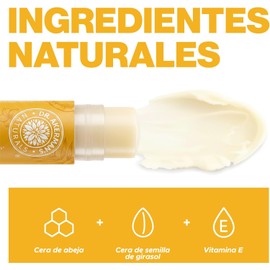 DR. AKERMAN'S NATURALS, Bálsamo Labial Natural Humectante, Pack de 5 Sabores Mixtos, Protección e Hidratación Diaria, 4.5g Cada Uno (1)