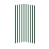 EcoStake Garden Stakes 6-Ft for Climbing Plants Supports Pole 20
