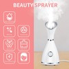 Facial Thermal Steamer Nano Water Spray Acne Wrinkle Removal Moisturizing