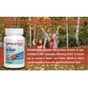 Heartland Pharma Gas Relief Simethicone 180mg Softgels - Ultra Strength