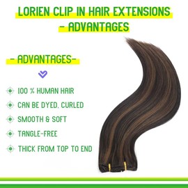 LORIEN Clip in Hair Extensions Real Human Hair, 20 Inch 105g, 1B/6 Natural Black to Chestnut Brown, Clip in 100% Brazilian Remy Human Hair Extensions 8pcs Per Set with 18 Clips Double Weft
