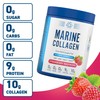 Applied Nutrition Marine Collagen Powder - Hydrolysed Collagen Protein, Healthy