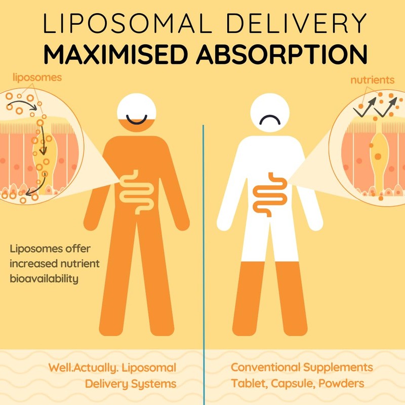 WELL ACTUALLY Liposomal Vitamin D3 + K2 Liquid Pipette -