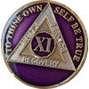 11 Year AA Medallion Metallic Purple Tri-Plate Sobriety Chip Serenity