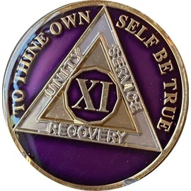 11 Year AA Medallion Metallic Purple Tri-Plate Sobriety Chip Serenity Prayer Back