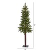 Nearly Natural 5ft. Alaskan Alpine Artificial Christmas Tree with 100