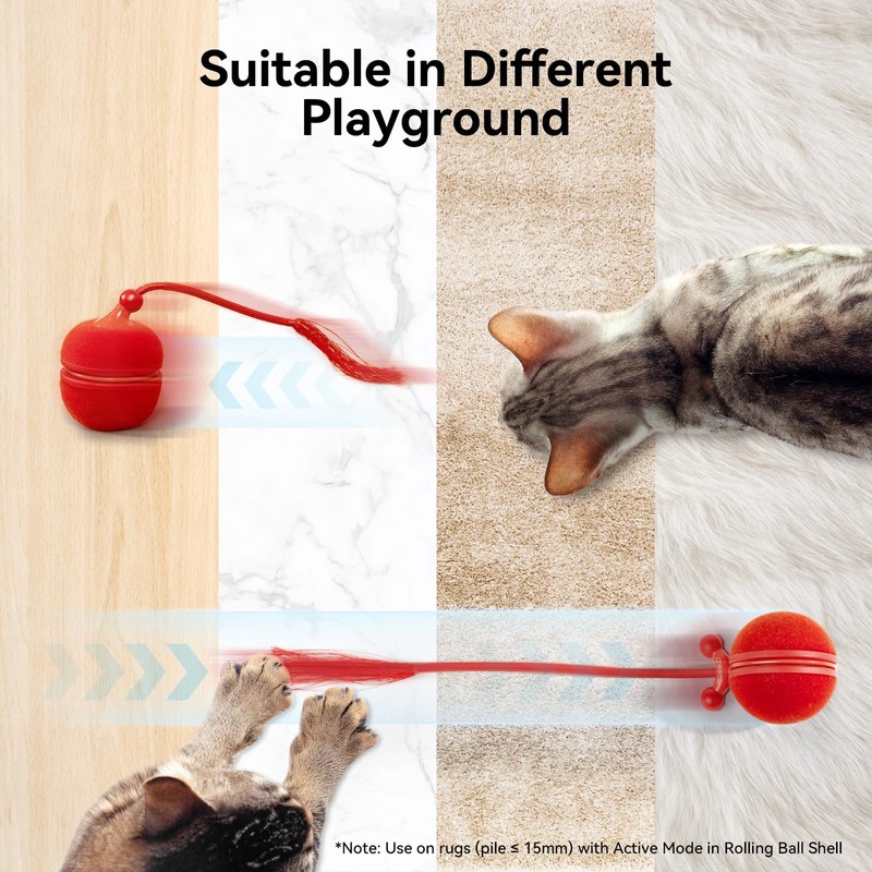Cheerble 2 in 1 Interactive Cat Toys for Indoor Cats