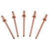 Metal Magery 100 Copper Pop Rivets 1/8 Diameter Copper Mandrel