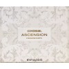COVERGIRL 1 Covergirl Ascension 12 Intensely Pimented Blendable Shades Eyeshadow