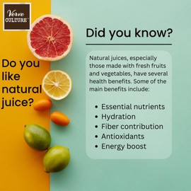 Artisan Crafted Cast Aluminum Professional Grade Manual Hand Press Juicer For Fresh Squeezed Orange, Lemon, Lime, Grapefruit and Citrus Fresh Morning Drinks, or Cooking by Verve CULTURE,Green