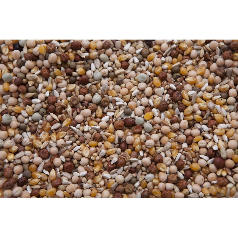 King 45 Pigeon Mix (17%) 8 lbs