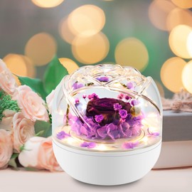 QUELIEN Mothers Day Flowers Gifts for Mom,Birthday Gifts for Women,Preserved Rose with Led Light for Christmas Valentine's Day Anniversary Birthday Mother's Day Wedding (Purple)