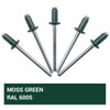 (Pack of 100 pcs) Painted Blind Rivets 4.0 x 8