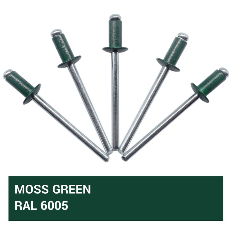 (Pack of 100 pcs) Painted Blind Rivets 4.0 x 8