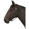 Gallop Basic Nylon Headcollar and Lead Rope Set, Full Size,