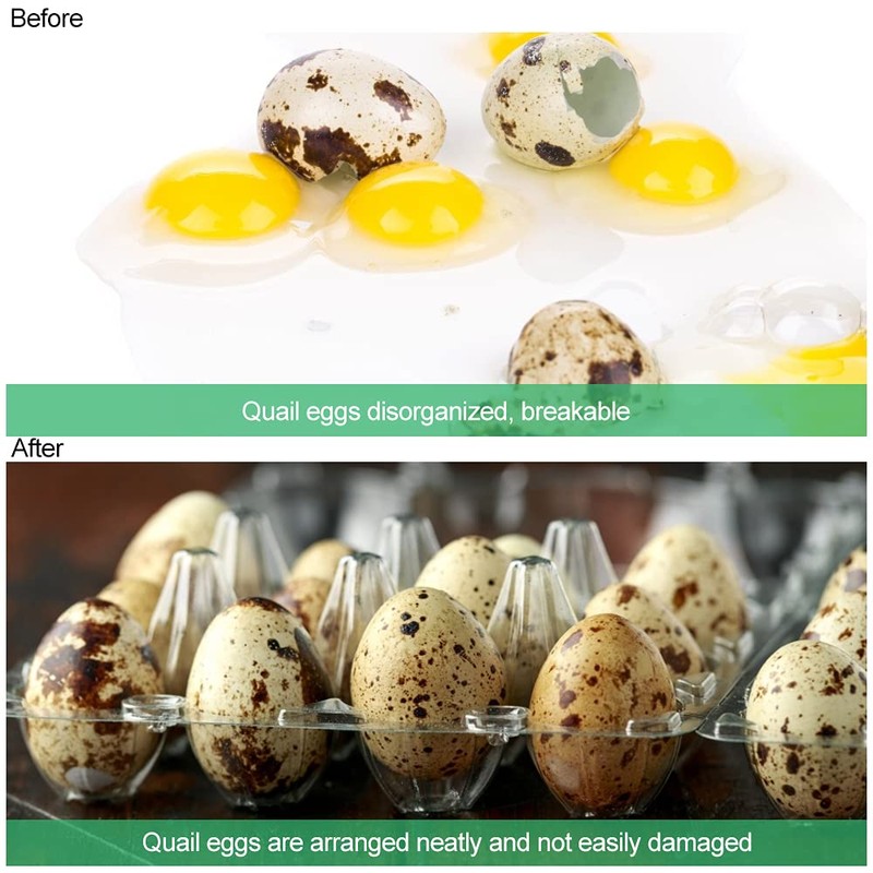 FIGFYOU Pack of 50 Quail Egg Boxes, Egg Boxes, Quail,