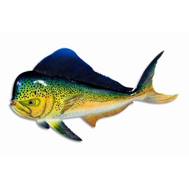 Star International Hand Painted Green Dolphin Mahi Mahi Standing Statue Figurine Sculpture 8"