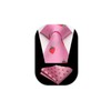 HISDERN Men's Ties Animal Pattern Tie Pocket Square Wedding Business