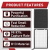 2Pcs 75i Replacement Filter with H13 Activated Carbon
