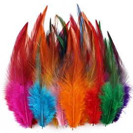 whitefeather Feathers for Crafting,240pcs 5-7inch Colorful Craft Rooster Feathers,Saddle Hackle Feather,Bulk Feathers for Wedding Home Party,Dream Catcher Supplies and DIY Crafts