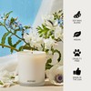 Apotheke Luxury Scented Candles for Home, Canvas - Aromatherapy Jar