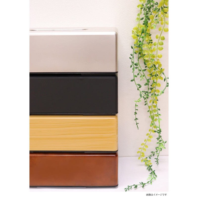 Ikeda Tissue Case, Tissue Box, Black, Approx. 10.1 x 5.2