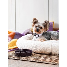 LE TAUCI PET Ceramic Slow Feeder Dog Bowls Small Breed, 0.5 Cups Dog Food Dish for Fast Eaters, Puzzle Bowl for Small Dogs and Cats, 5.5 Inch-Purple