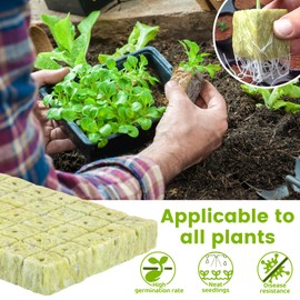 shallyong Pack of 50 Rock Wool Cultivation, 2.5 x 2.5 x 2.5 cm, Rock Wool Cube, Easy Plug Propagation Cube, Environmentally Friendly, Good Air Permeability, for Growing Seedlings Cuttings